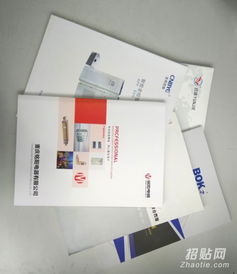 樂清樣本畫冊設(shè)計(jì)與印刷服務(wù) 宣傳冊、單張、說明書與網(wǎng)站設(shè)計(jì)一體化解決方案